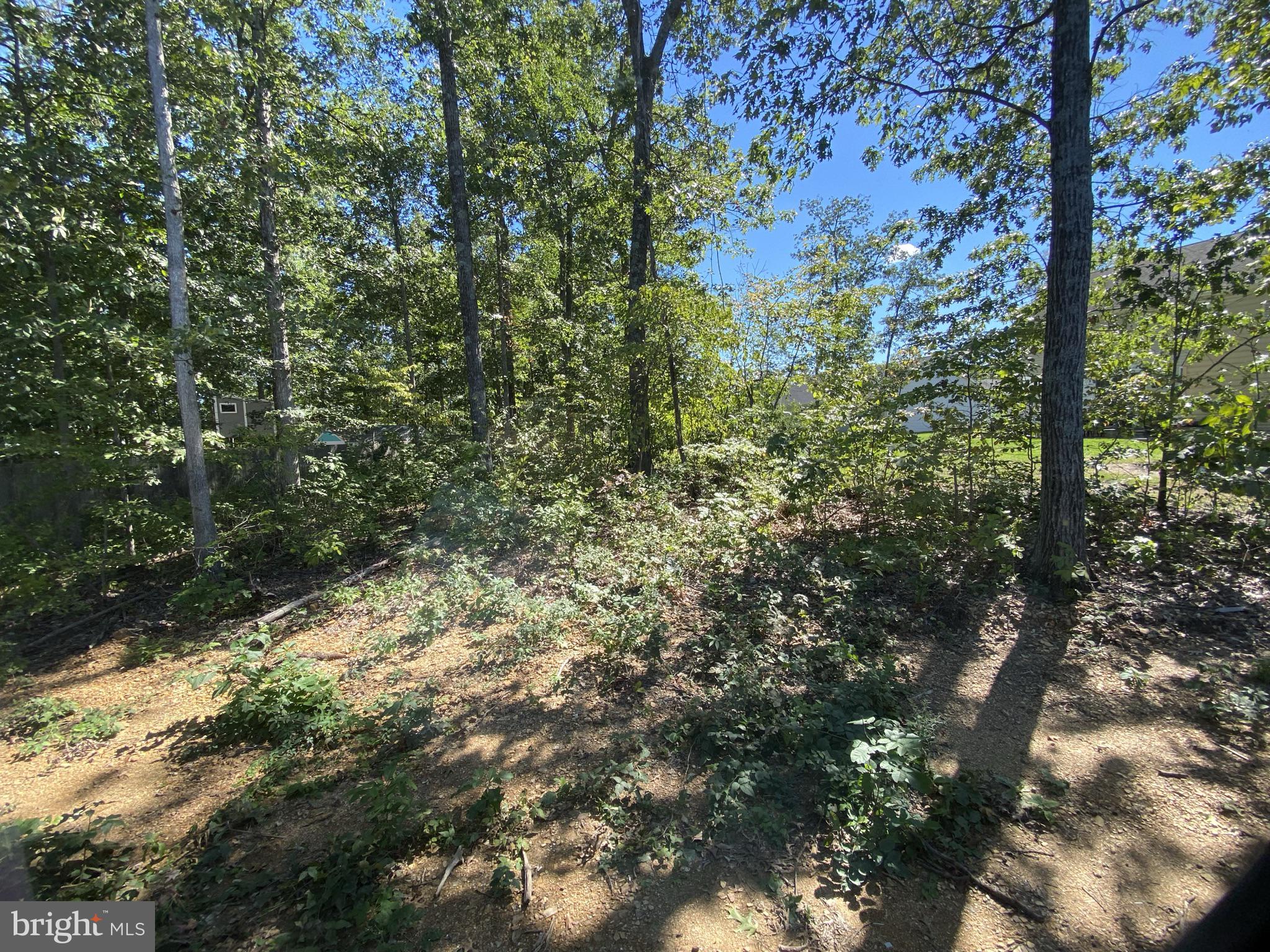 44 Cod Drive Inwood, WV 25428 - Photo 24 of 25 Back yard