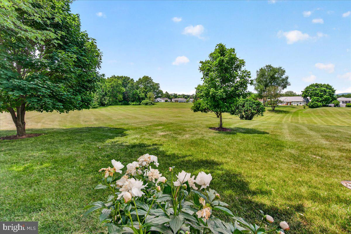7047 Catalpa Road Frederick, MD 21703 - Photo 56 of 118