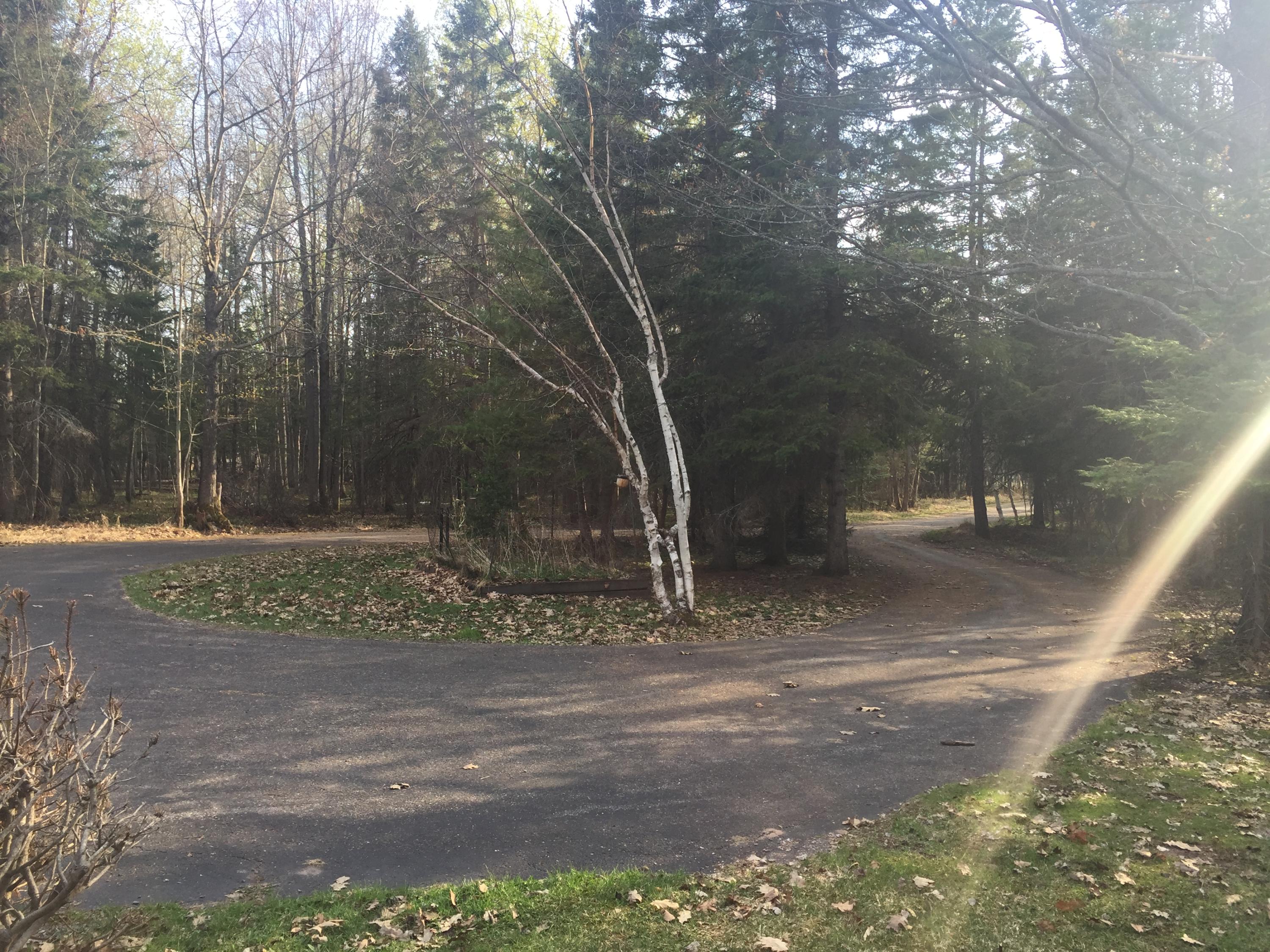 3281 Shunk Road Sault Ste. Marie, MI 49783 - Photo 12 of 22 Gallery Image 12