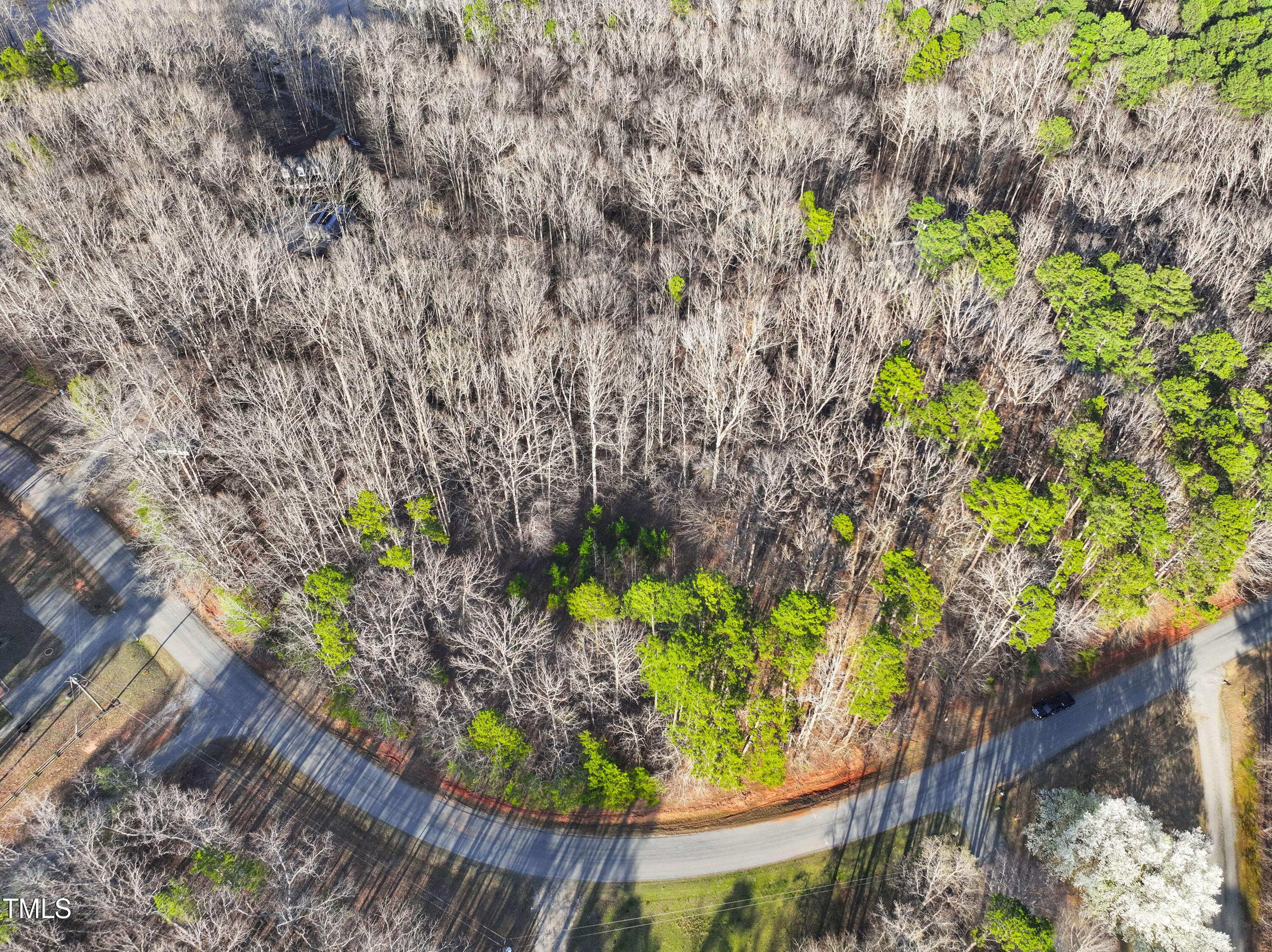 Lot 15 Olde Forest Road Clarksville, VA 23927 - Photo 5 of 24 your lot is a mix of trees
