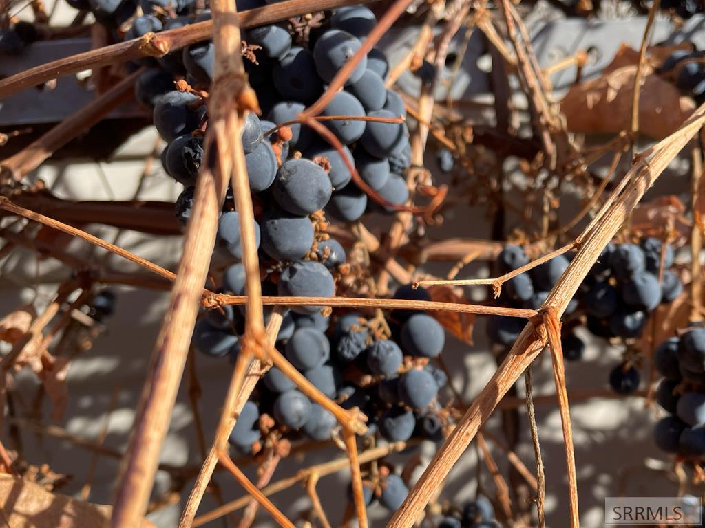 626 Autumn Court Rexburg, ID 83440 - Photo 54 of 56