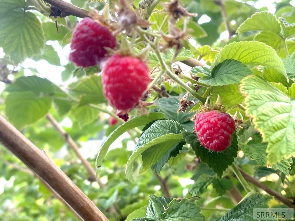 626 Autumn Court Rexburg, ID 83440 - Photo 55 of 56