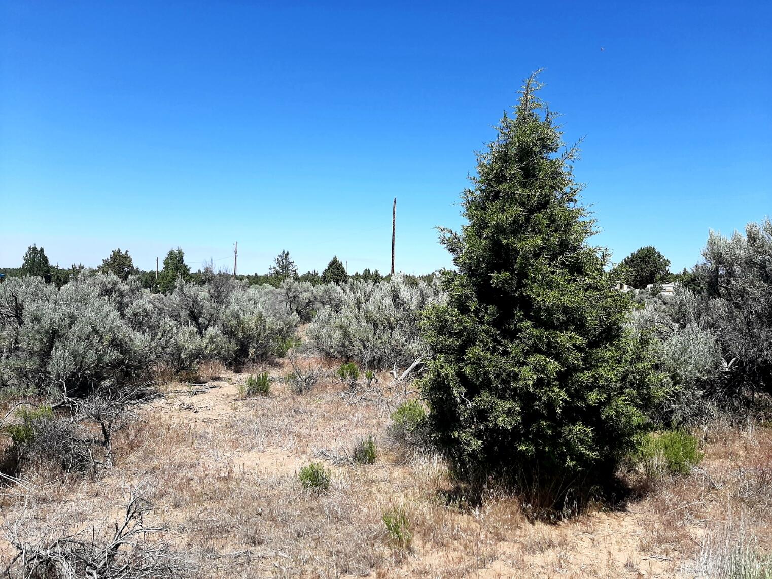 Southeast Snake Road Prineville, OR 97754 - Photo 2 of 11 2