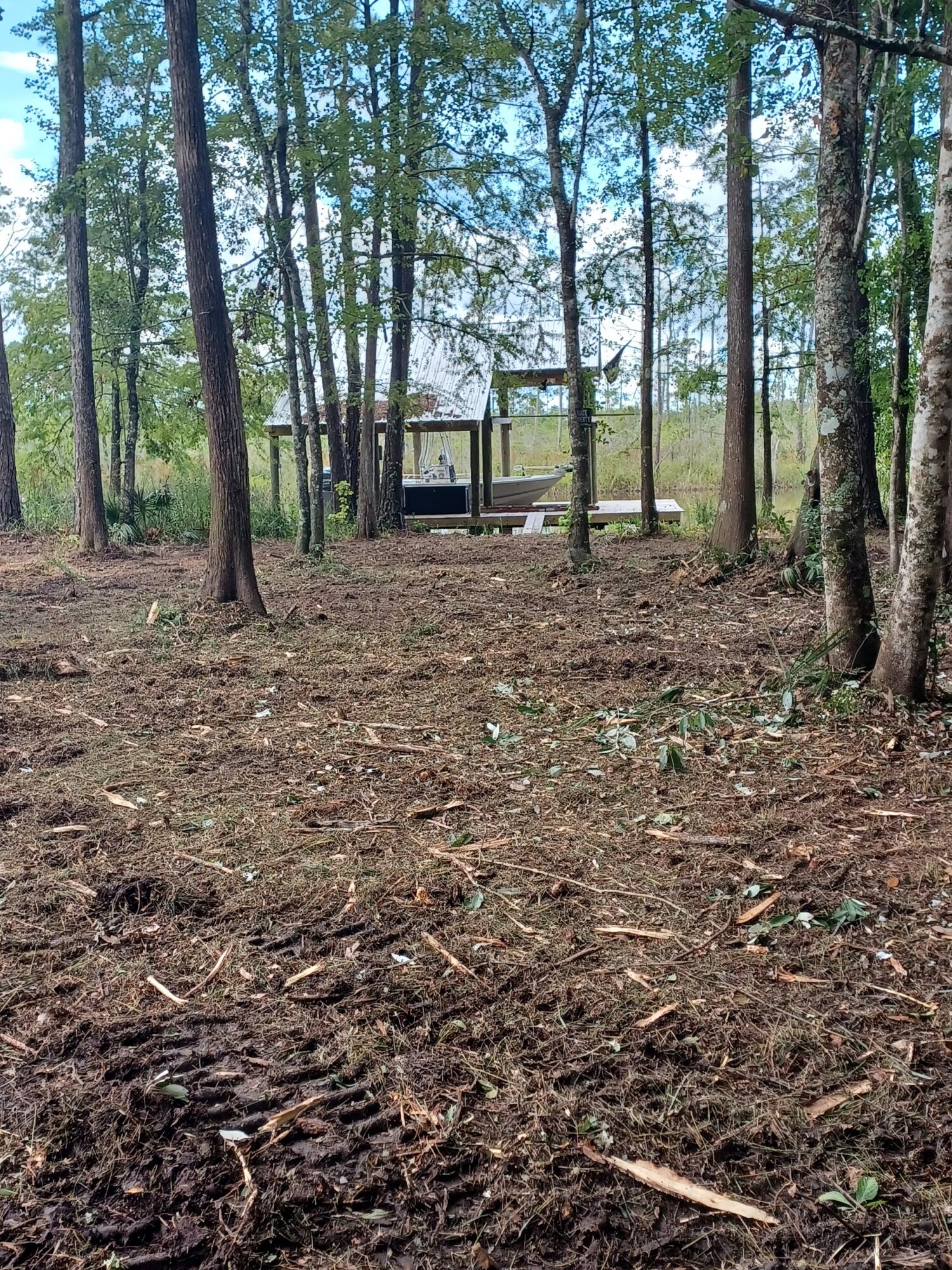 a view of outdoor space with lots of trees