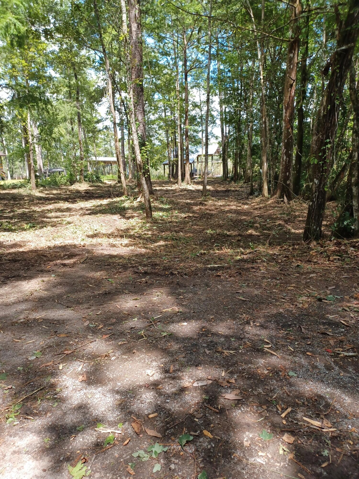 305 Portland Park Road Freeport, FL 32439 - Photo 2 of 7 a view of outdoor space with trees