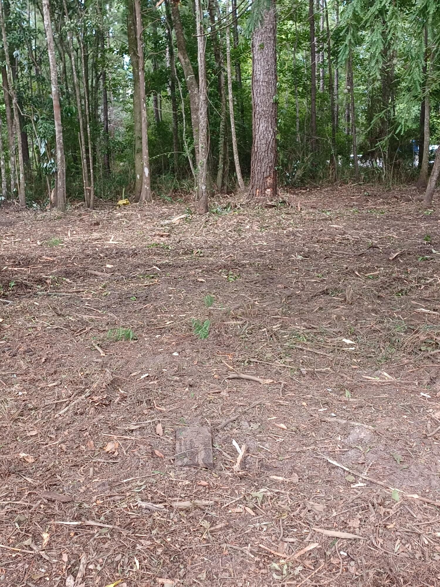 305 Portland Park Road Freeport, FL 32439 - Photo 3 of 7 a view of outdoor space with deck and yard