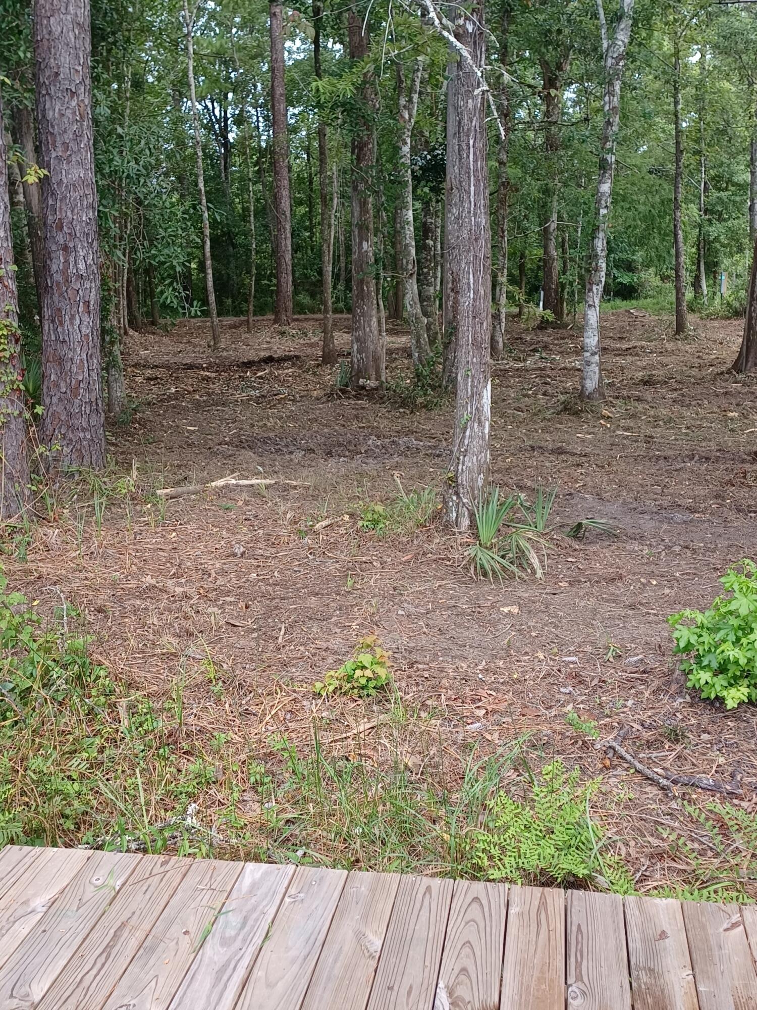 305 Portland Park Road Freeport, FL 32439 - Photo 4 of 7 a backyard of a house with lots of green space