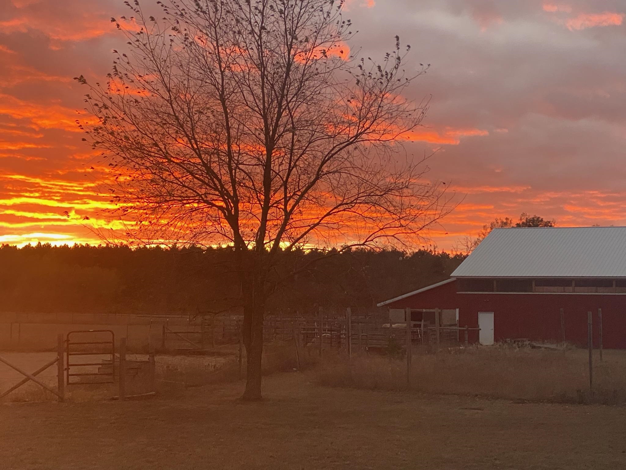 W9041 Airport Road Crivitz, WI 54114 - Photo 2 of 30