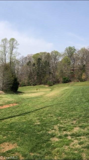 3870 River Ridge Road Pfafftown, NC 27040 - Photo 3 of 3 Gallery Image 3
