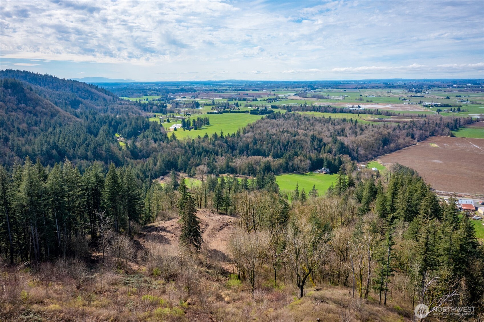 48-xx Reese Hill Road Sumas, WA 98295 - Photo 4 of 22