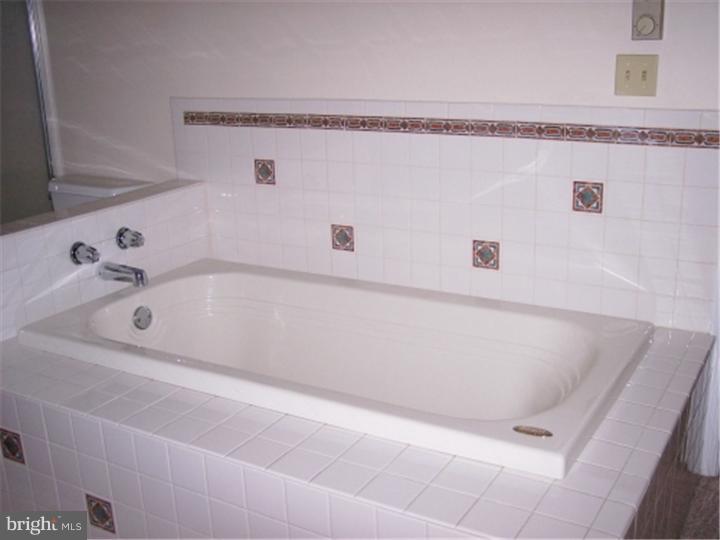 729 Dinahs Corner Road Dover, DE 19904 - Photo 9 of 23 Master Bathroom
