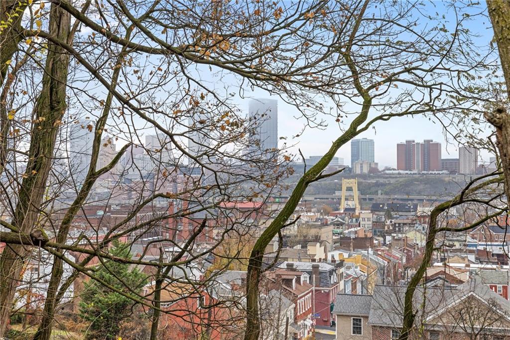 10 Welsh Way Pittsburgh, PA 15203 - Photo 22 of 46 a tree in the middle of the