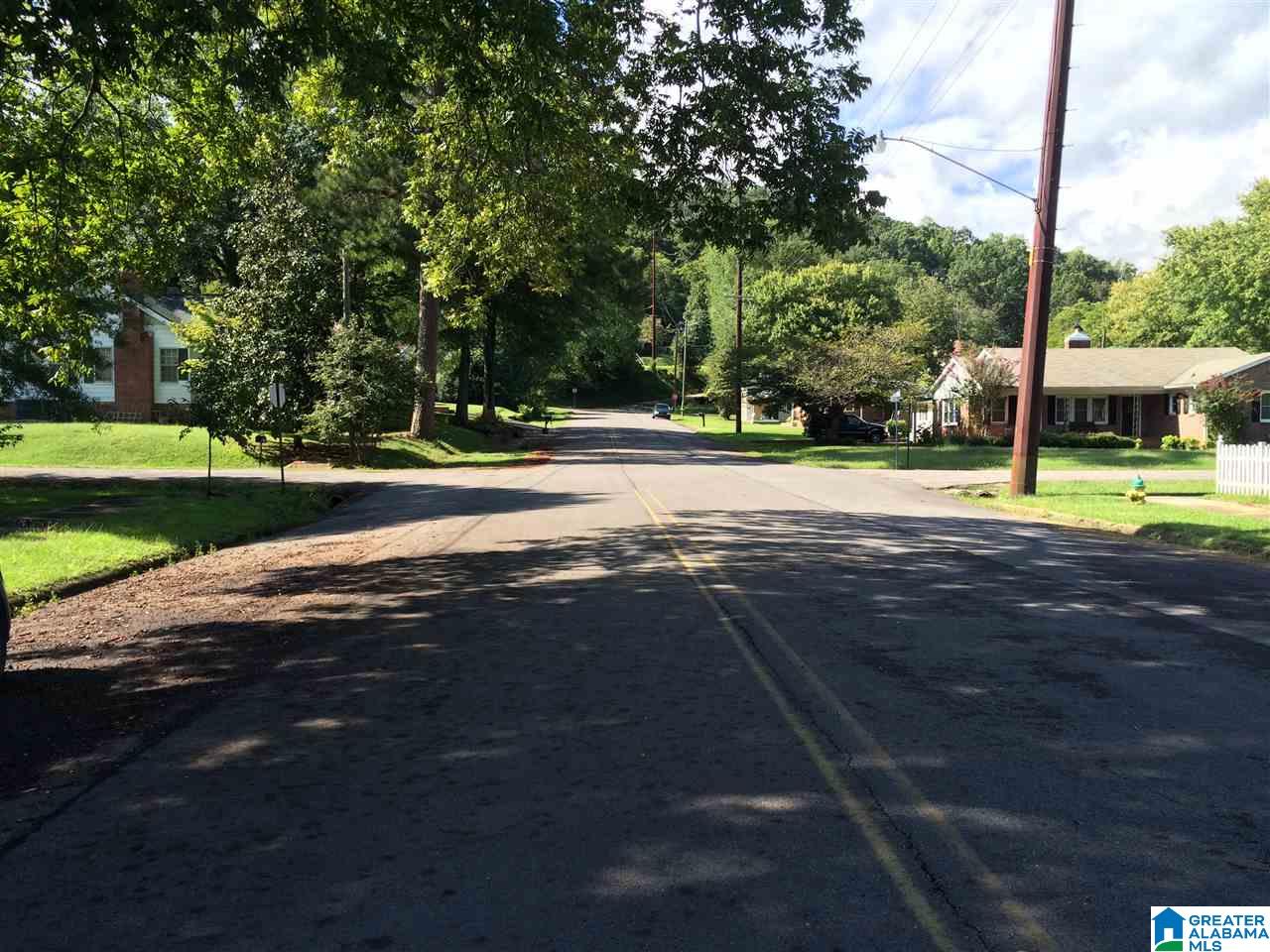 409 3rd Street North Oneonta, AL 35121 - Photo 34 of 36