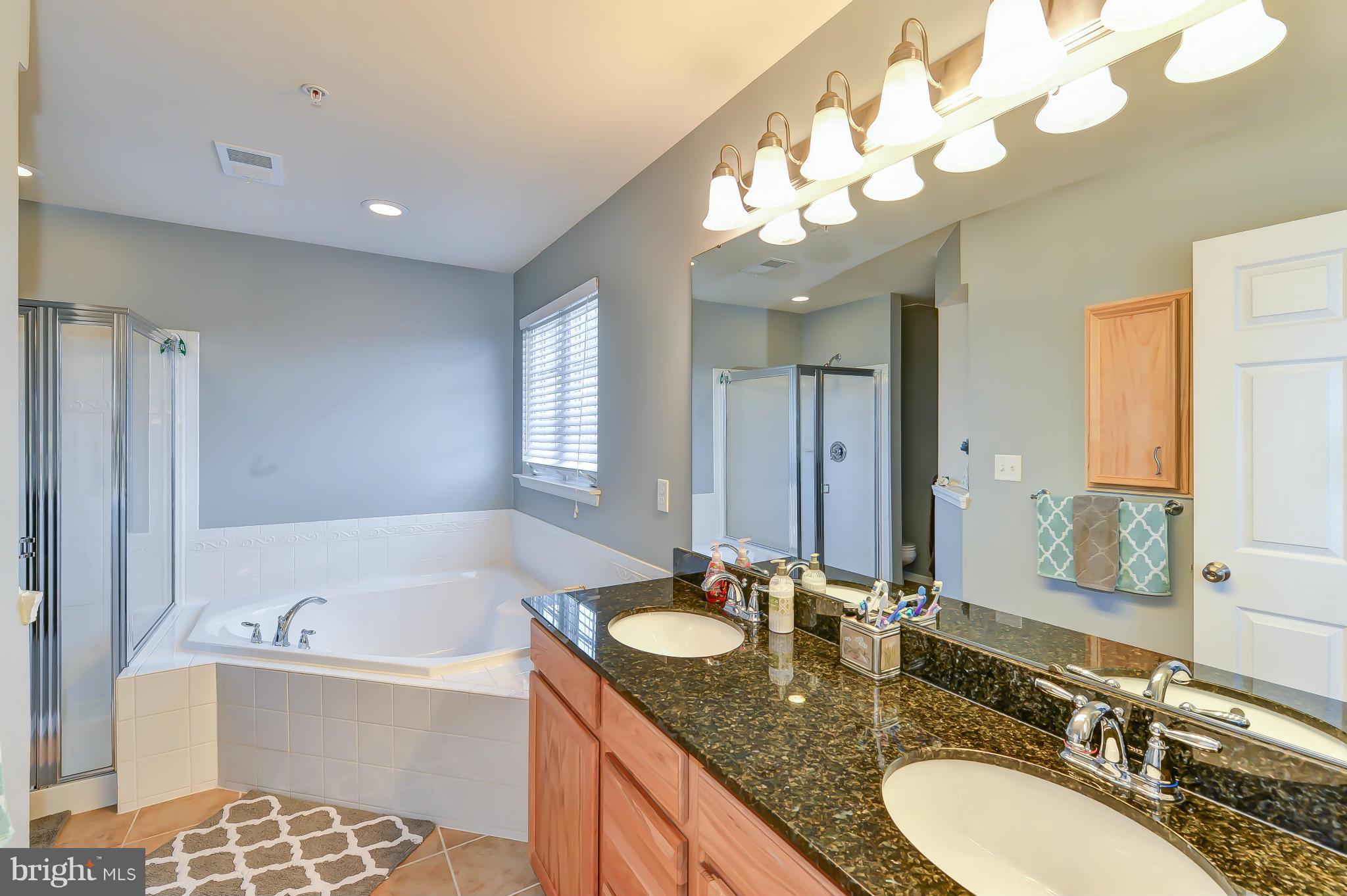 2107 Artillery Road Frederick, MD 21702 - Photo 14 of 27 Bath (Master)