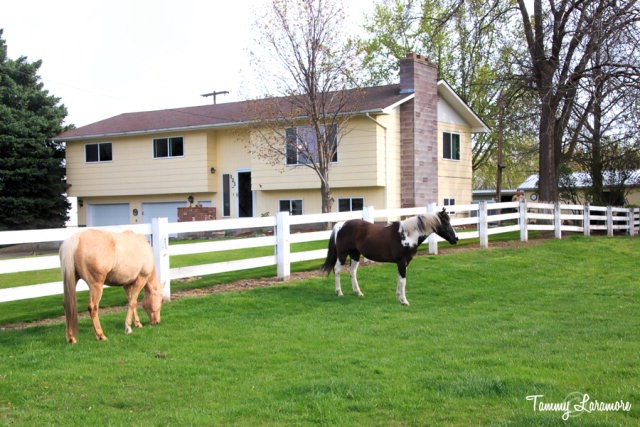 123 Baldwin Road Walla Walla, WA 99362 - Photo 1 of 1 Gallery Image 1