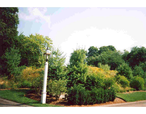 175 Nobscot Road, Unit 175 Sudbury, MA 01776 - Photo 3 of 19 Gallery Image 3