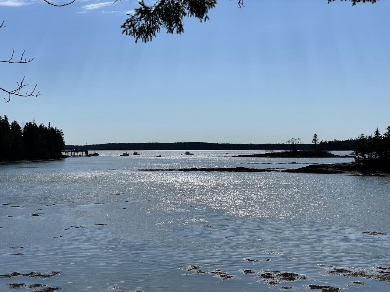 Lot 15-5 Fort Williams Road Harrington, ME 04643 - Photo 8 of 19