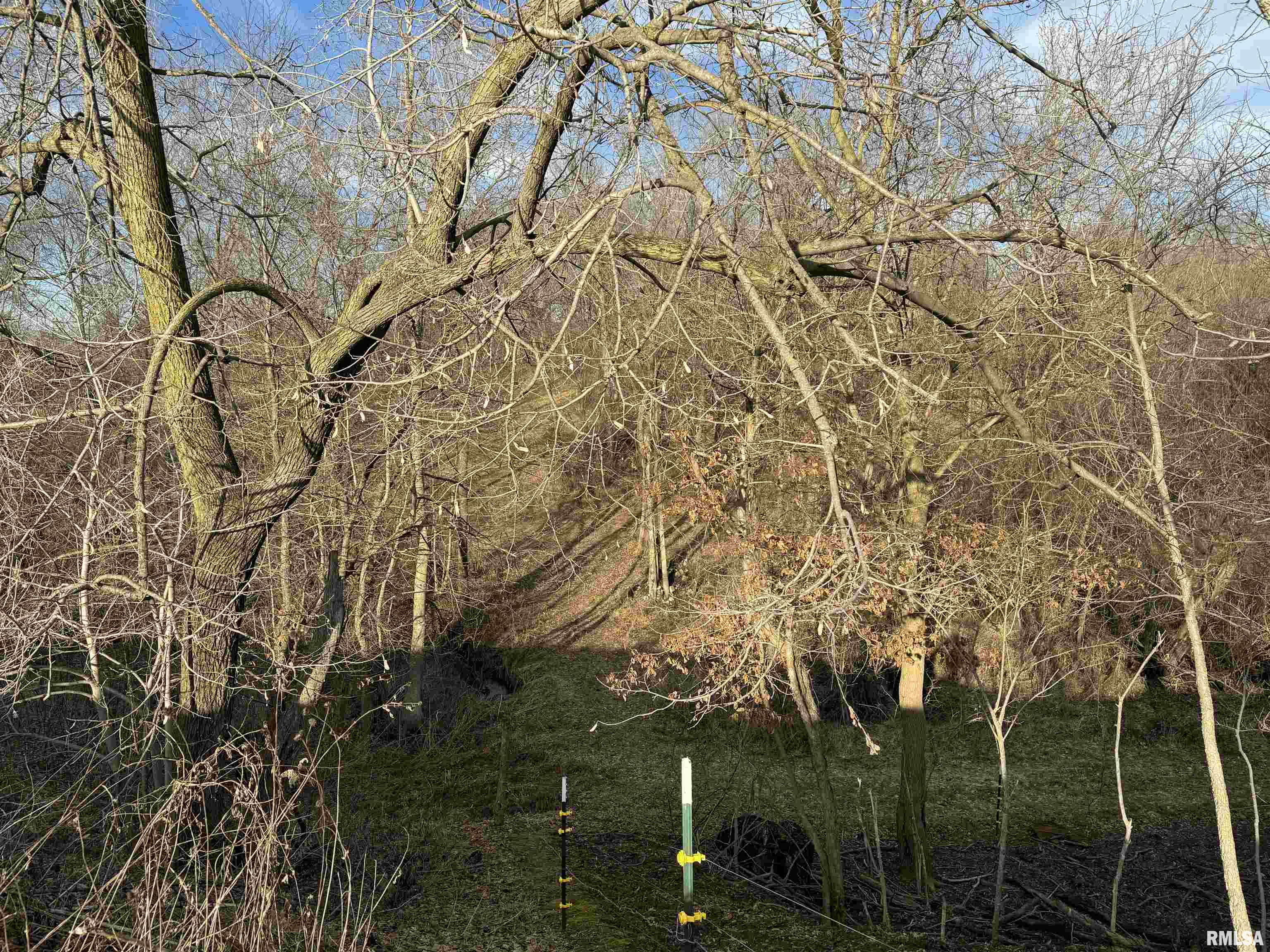 22082 East Brereton Road Canton, IL 61520 - Photo 30 of 31