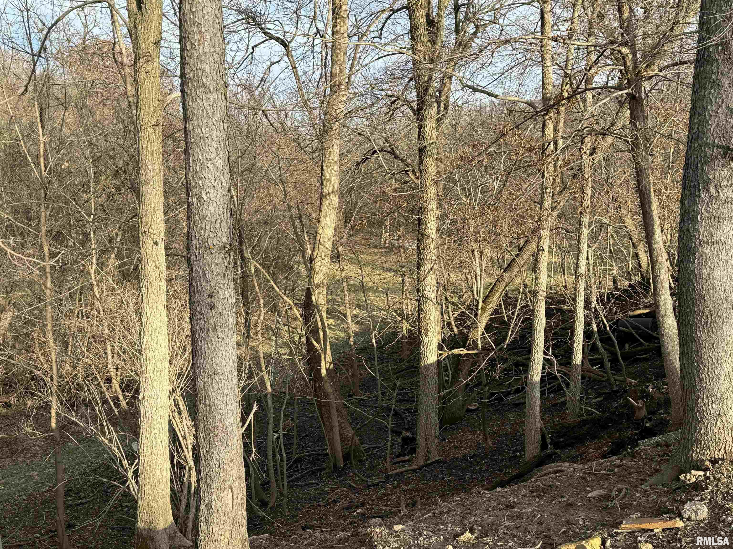 22082 East Brereton Road Canton, IL 61520 - Photo 31 of 31