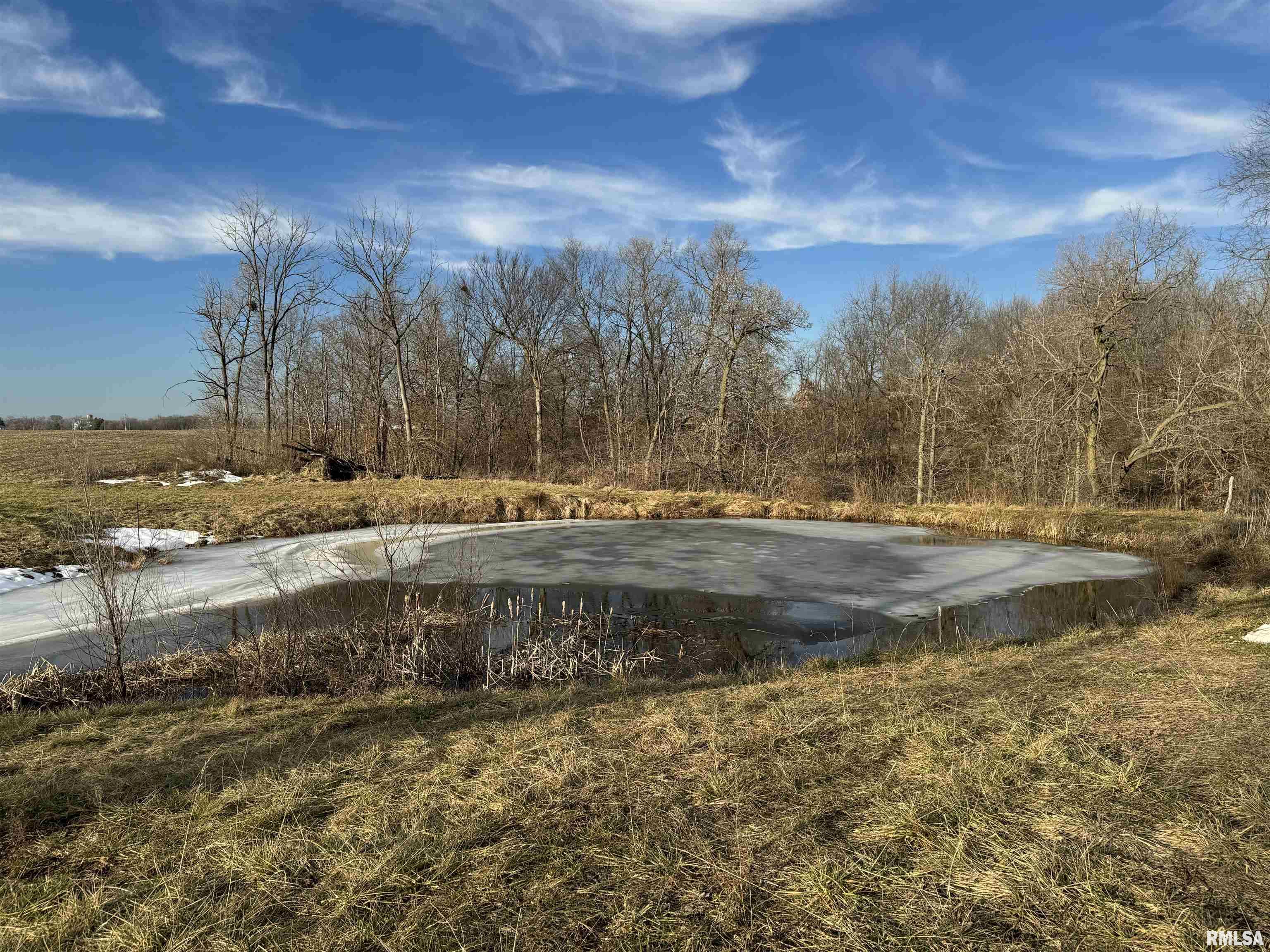 22082 East Brereton Road Canton, IL 61520 - Photo 7 of 31