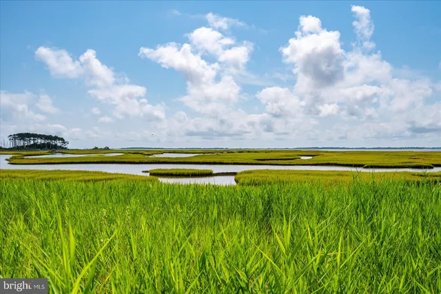 $1,829,000 | 11602 South Hills Drive, Berlin, MD 21811