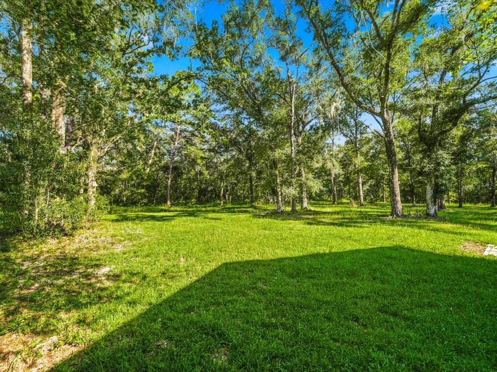 24403 McCaw Road Brooksville, FL 34601 - Photo 51 of 52 Gallery Image 51