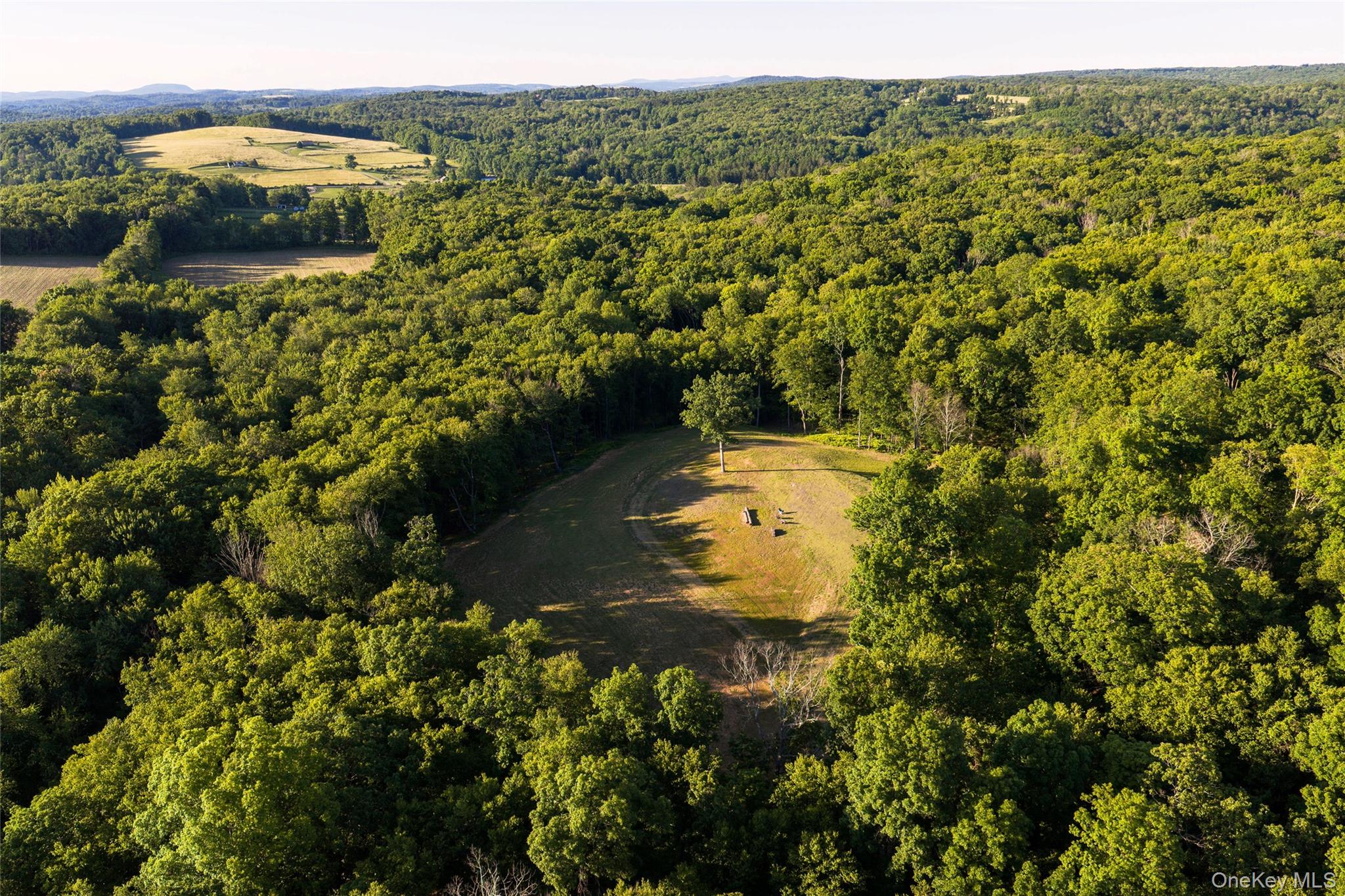 Mallory Road Verbank, NY 12585 - Photo 10 of 16