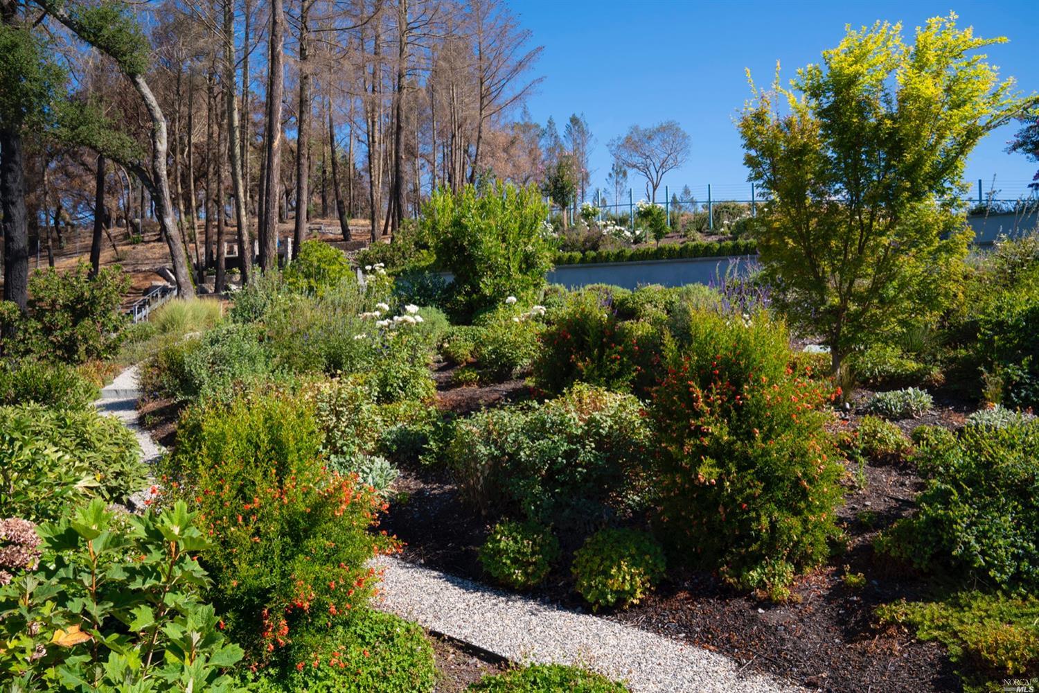 9 Bournemouth Road St. Helena, CA 94574 - Photo 36 of 40 a view of a garden with plants and a building in background