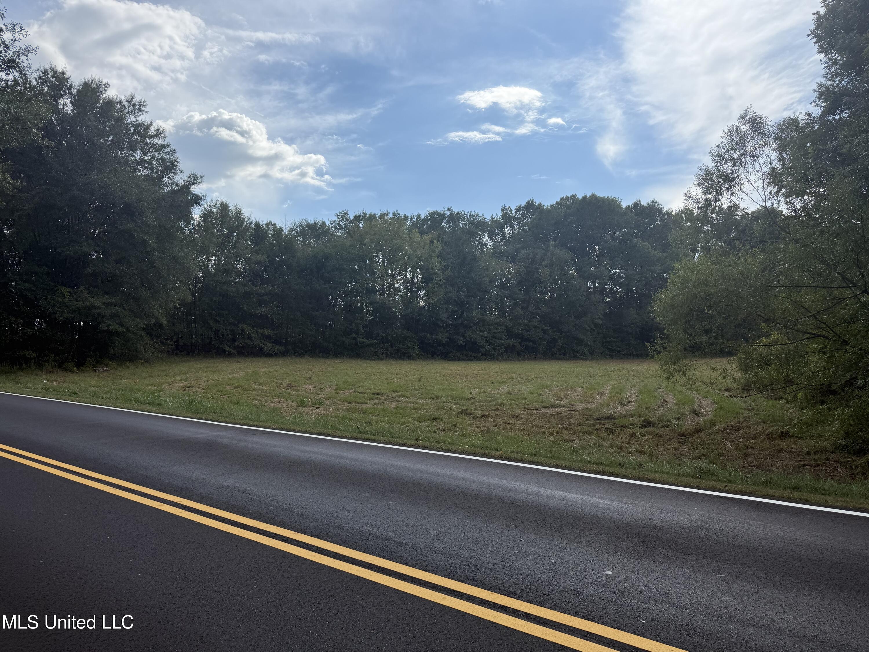 1st Street Flora, MS 39071 - Photo 12 of 15 IMG_7500