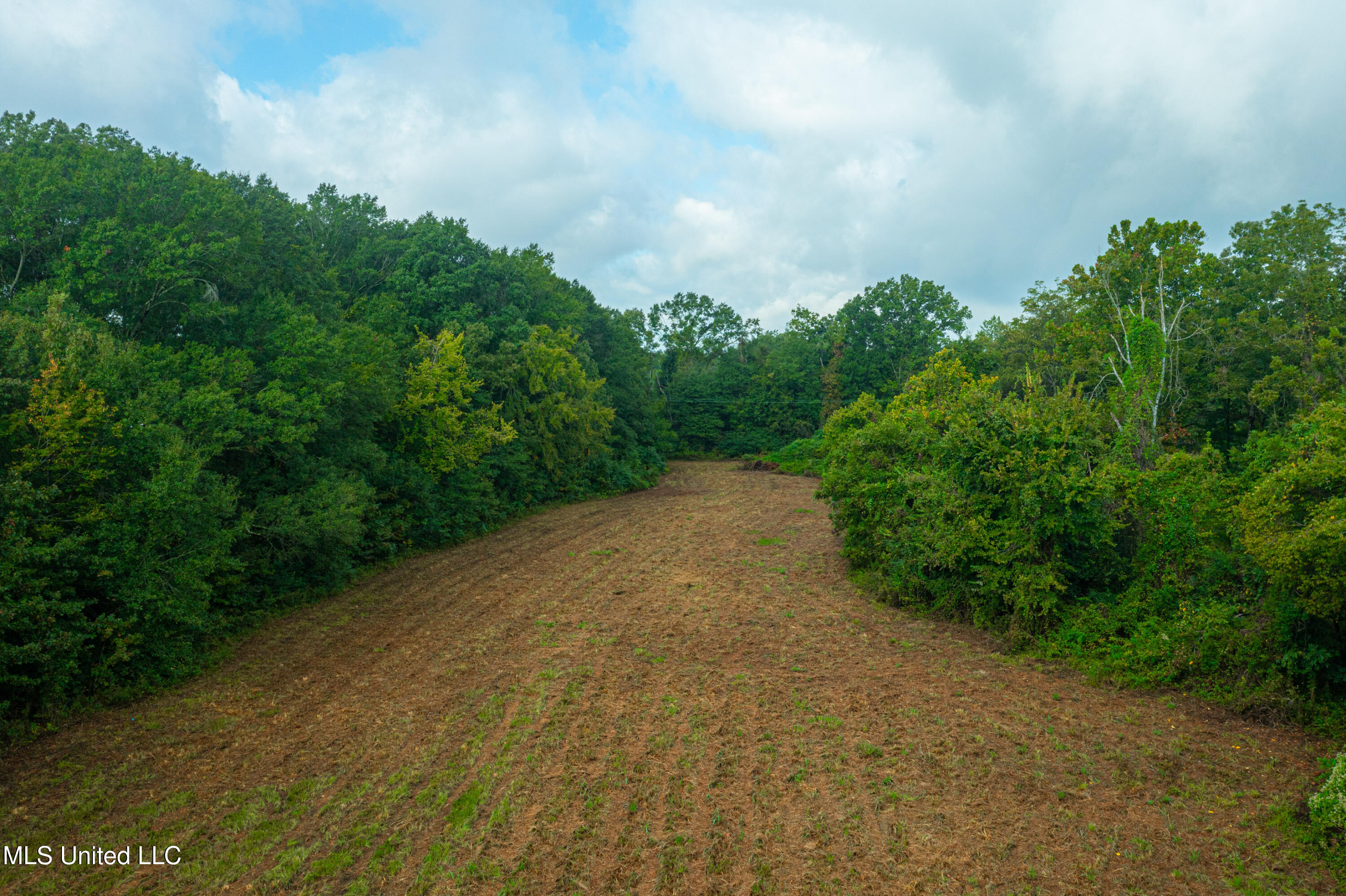 1st Street Flora, MS 39071 - Photo 7 of 15 DJI_0925