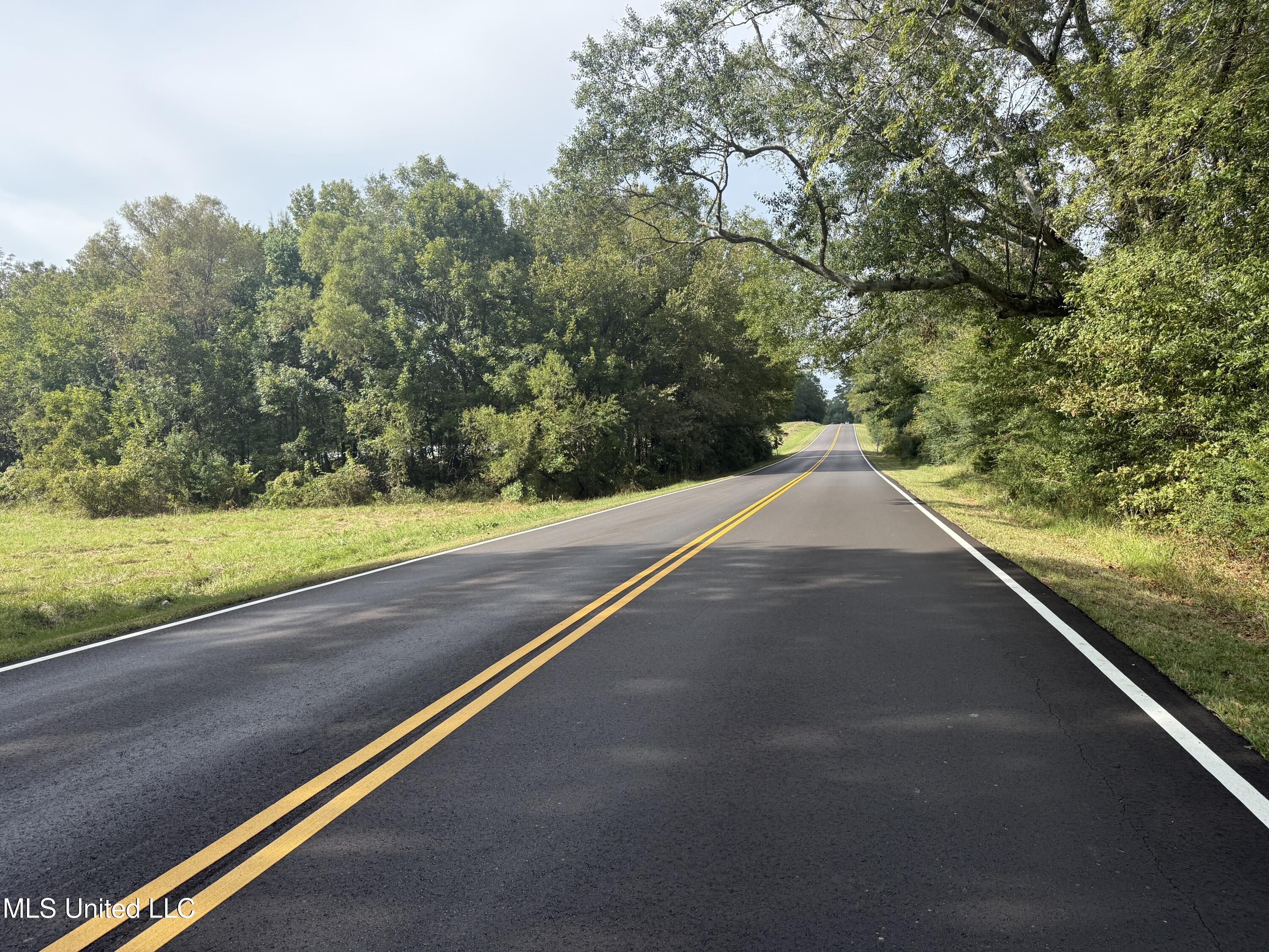 1st Street Flora, MS 39071 - Photo 8 of 15 IMG_7494