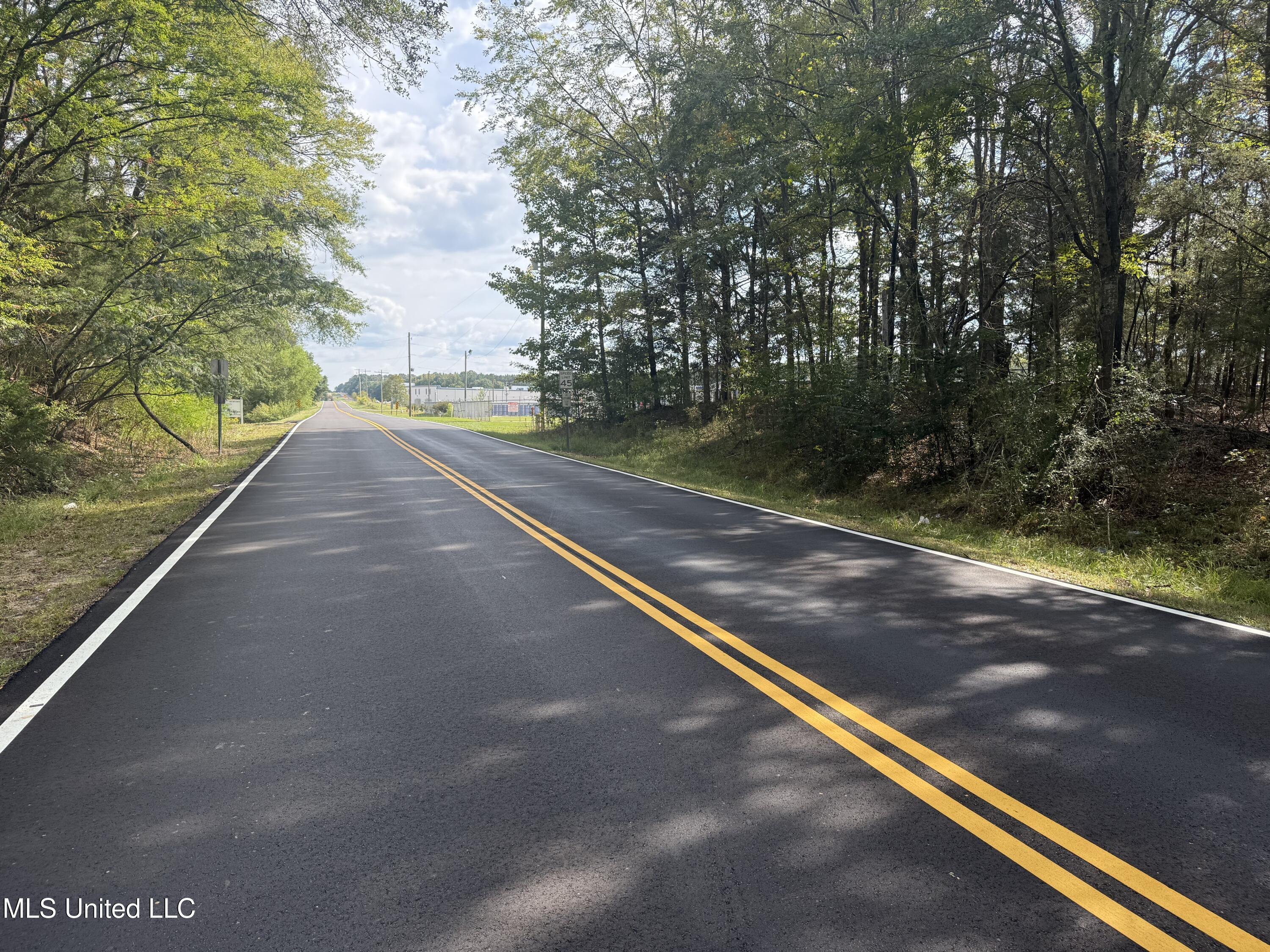 1st Street Flora, MS 39071 - Photo 9 of 15 IMG_7493