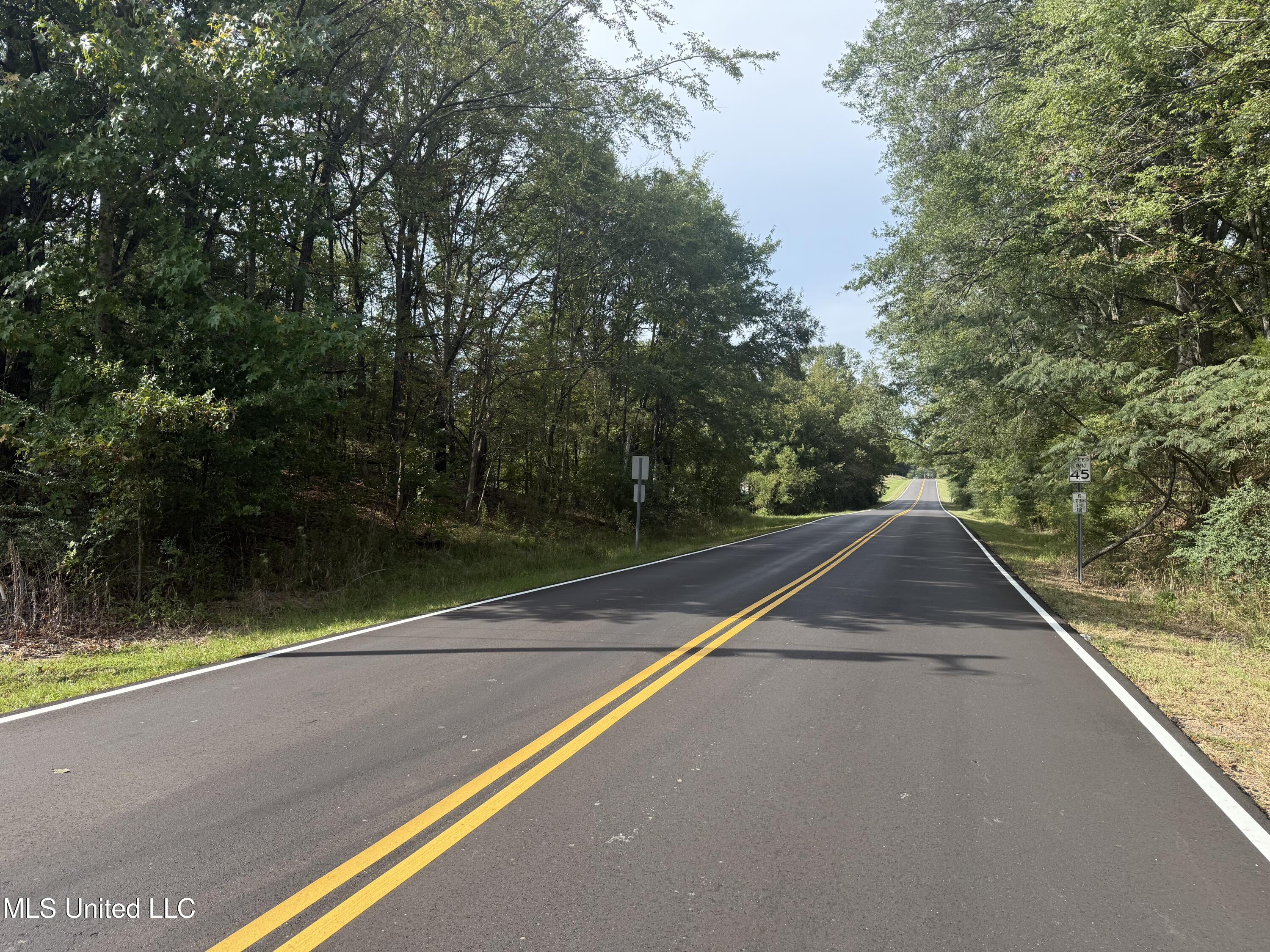 1st Street Flora, MS 39071 - Photo 10 of 15 IMG_7490