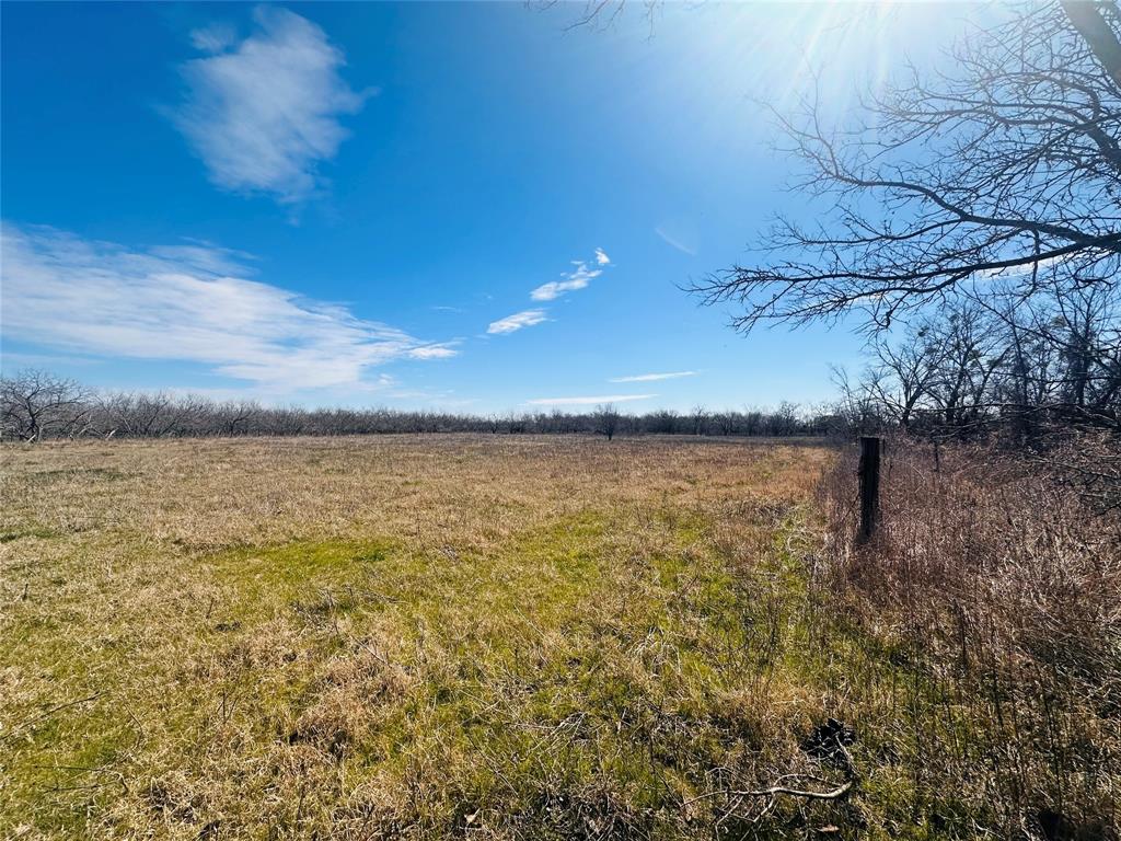 1803 Ola Road Kaufman, TX 75142 - Photo 1 of 1 View of local wilderness with a rural view