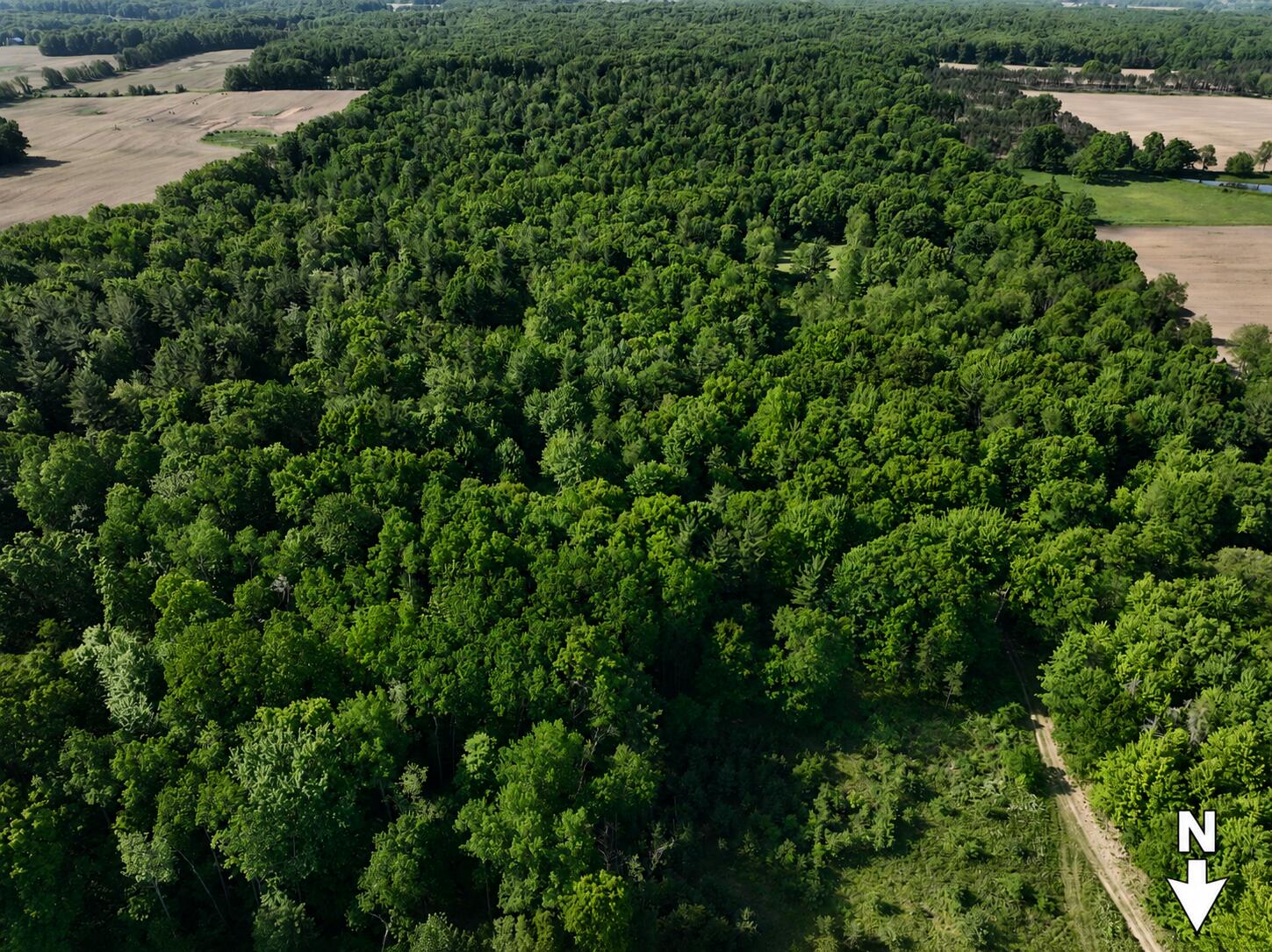 3685 Cypress Road Blanchard, MI 49310 - Photo 27 of 32 North to Bottom (2)