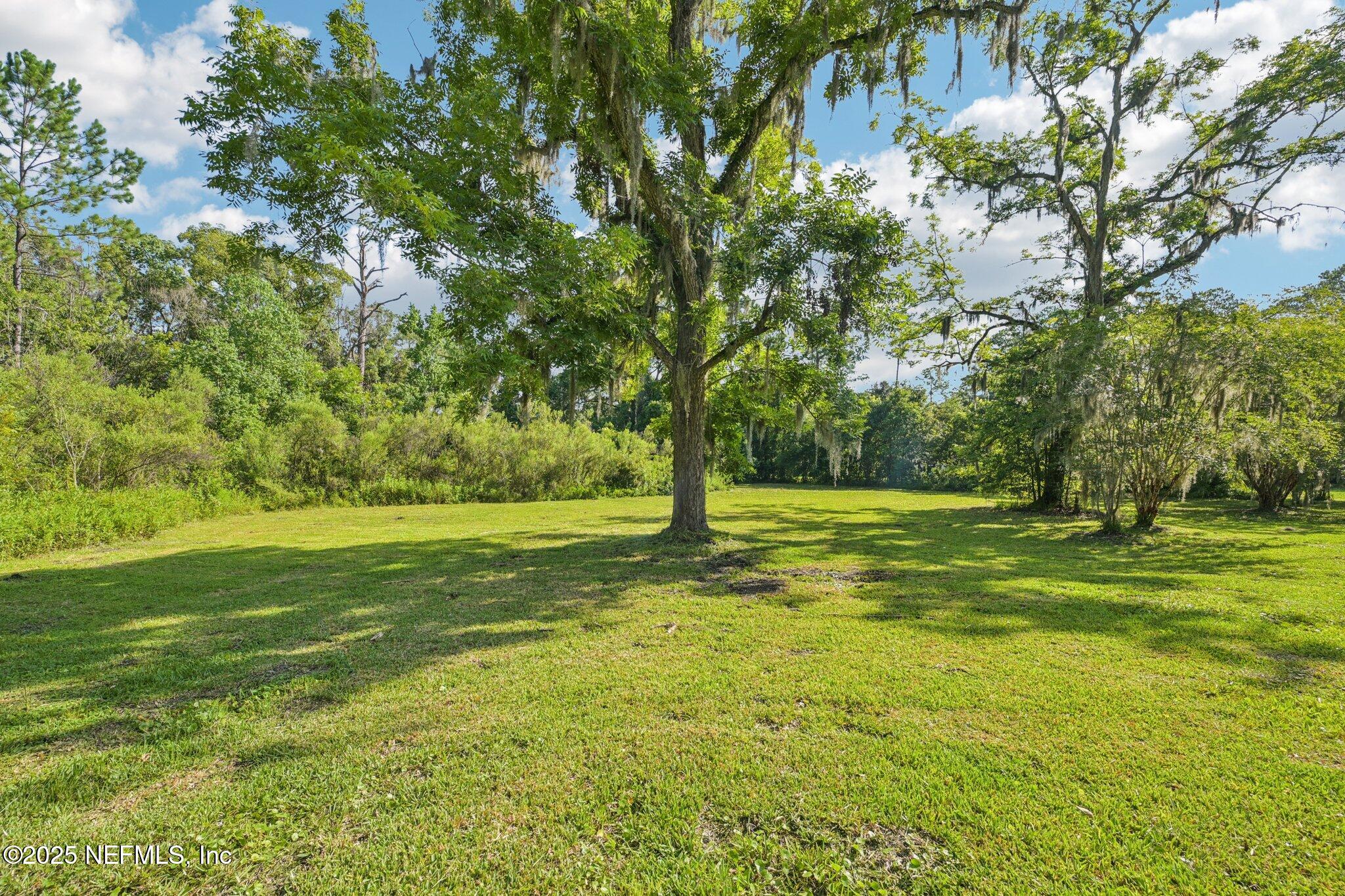 1217 Colley Road Starke, FL 32091 - Photo 37 of 42 a view of a yard with a large trees