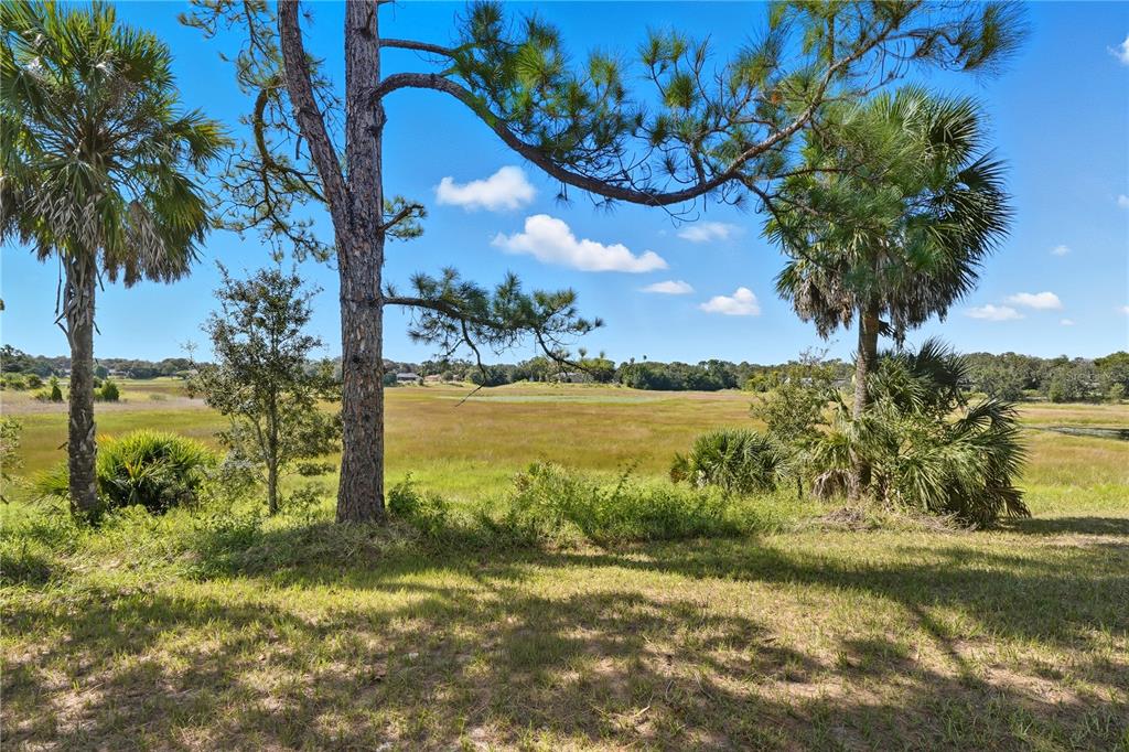 577 Waterfall Drive Spring Hill, FL 34608 - Photo 40 of 48