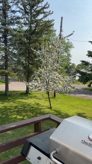 5030 Idlewild Street Duluth, MN 55804 - Photo 21 of 22