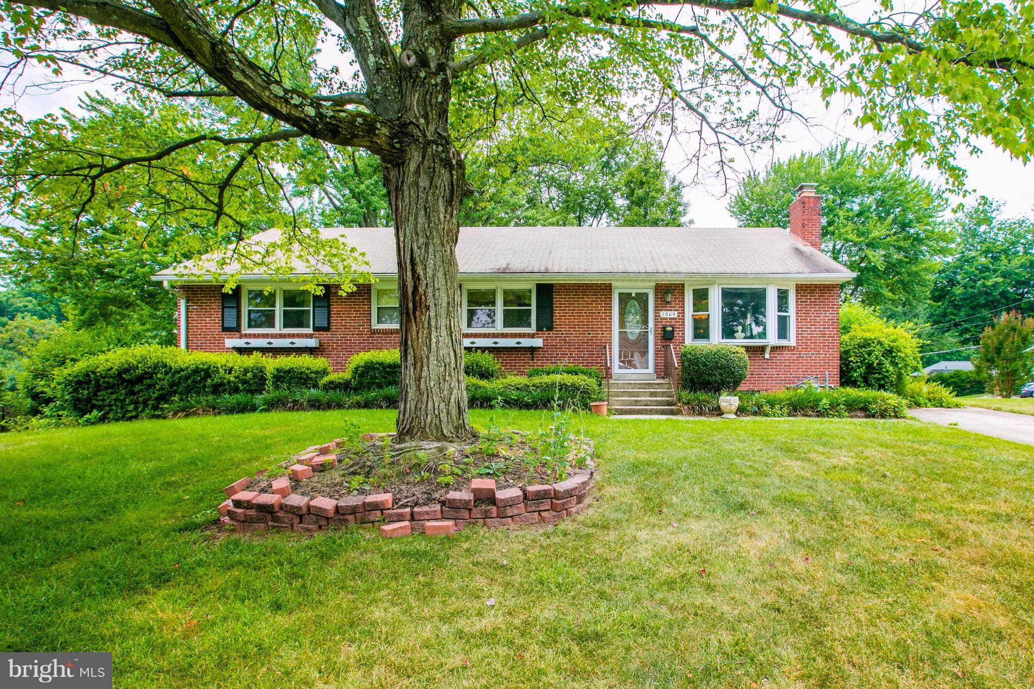 7909 Ellet Road Springfield, VA 22151 - Photo 1 of 30 a view of a house with a yard and a garden