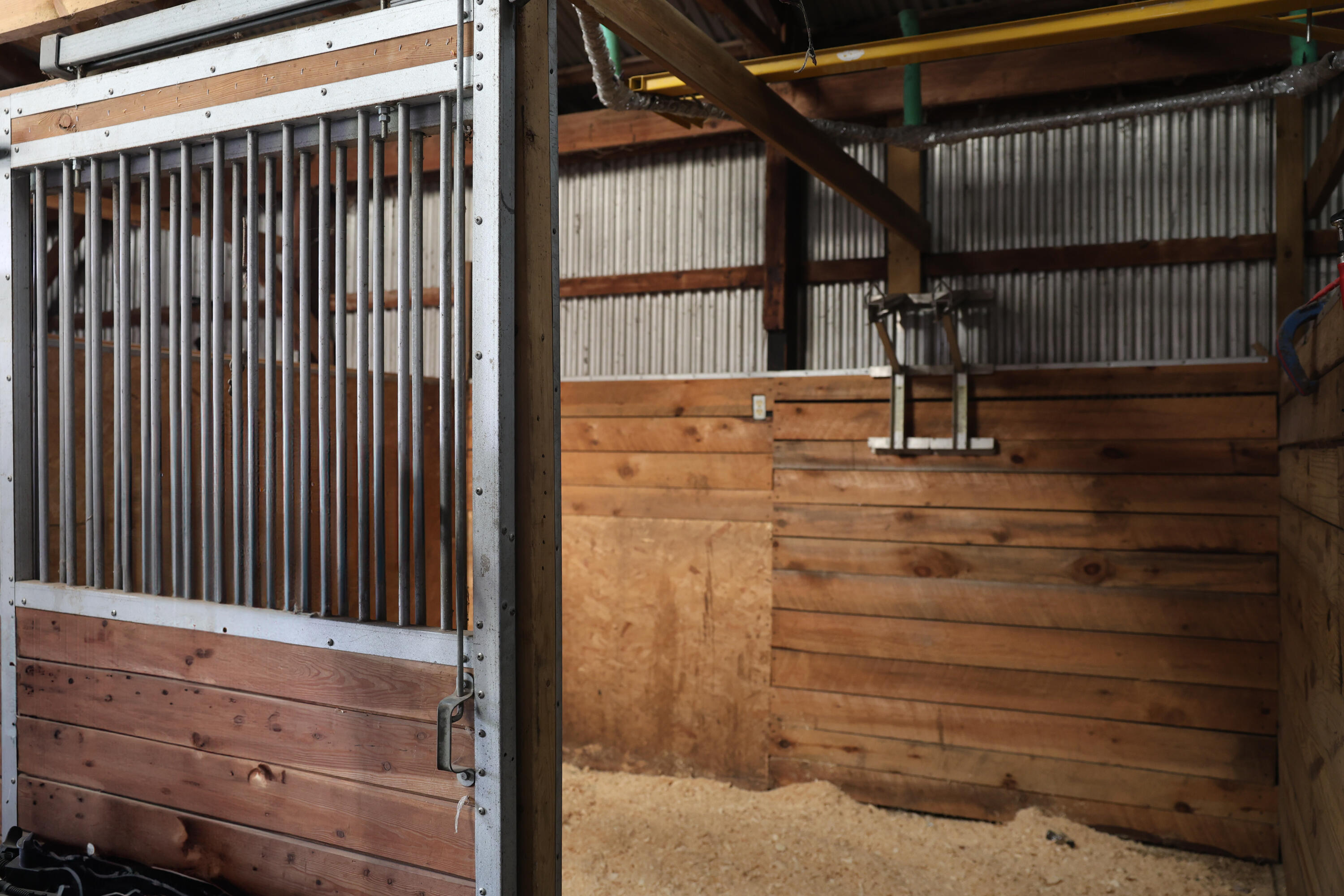 1041 West Arthur Road Rothbury, MI 49452 - Photo 48 of 56 Stable