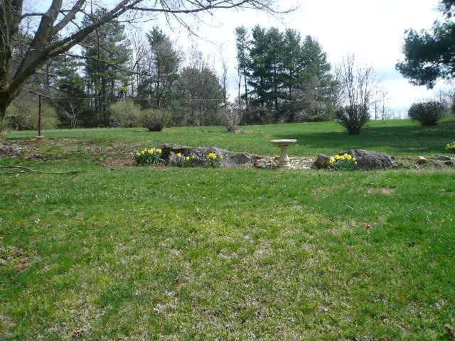 256 Bookerdale Road Waynesboro, VA 22980 - Photo 4 of 21 Gallery Image 4