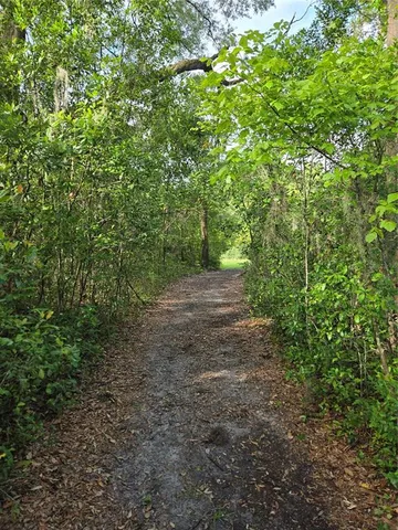 a view of a yard with a tree