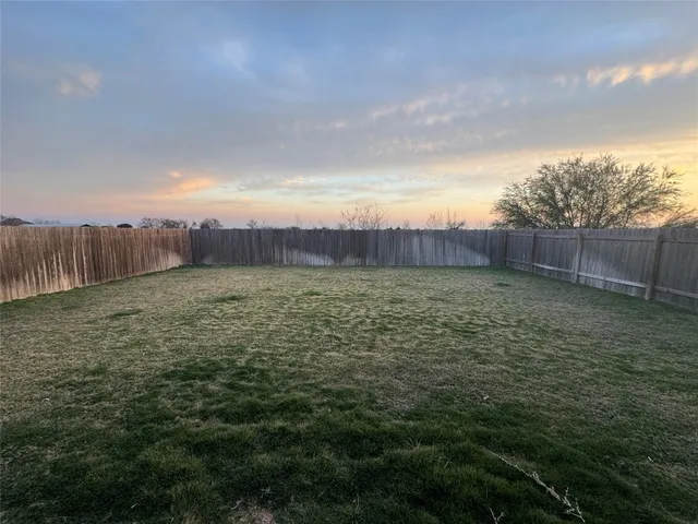 a view of a yard with an tree