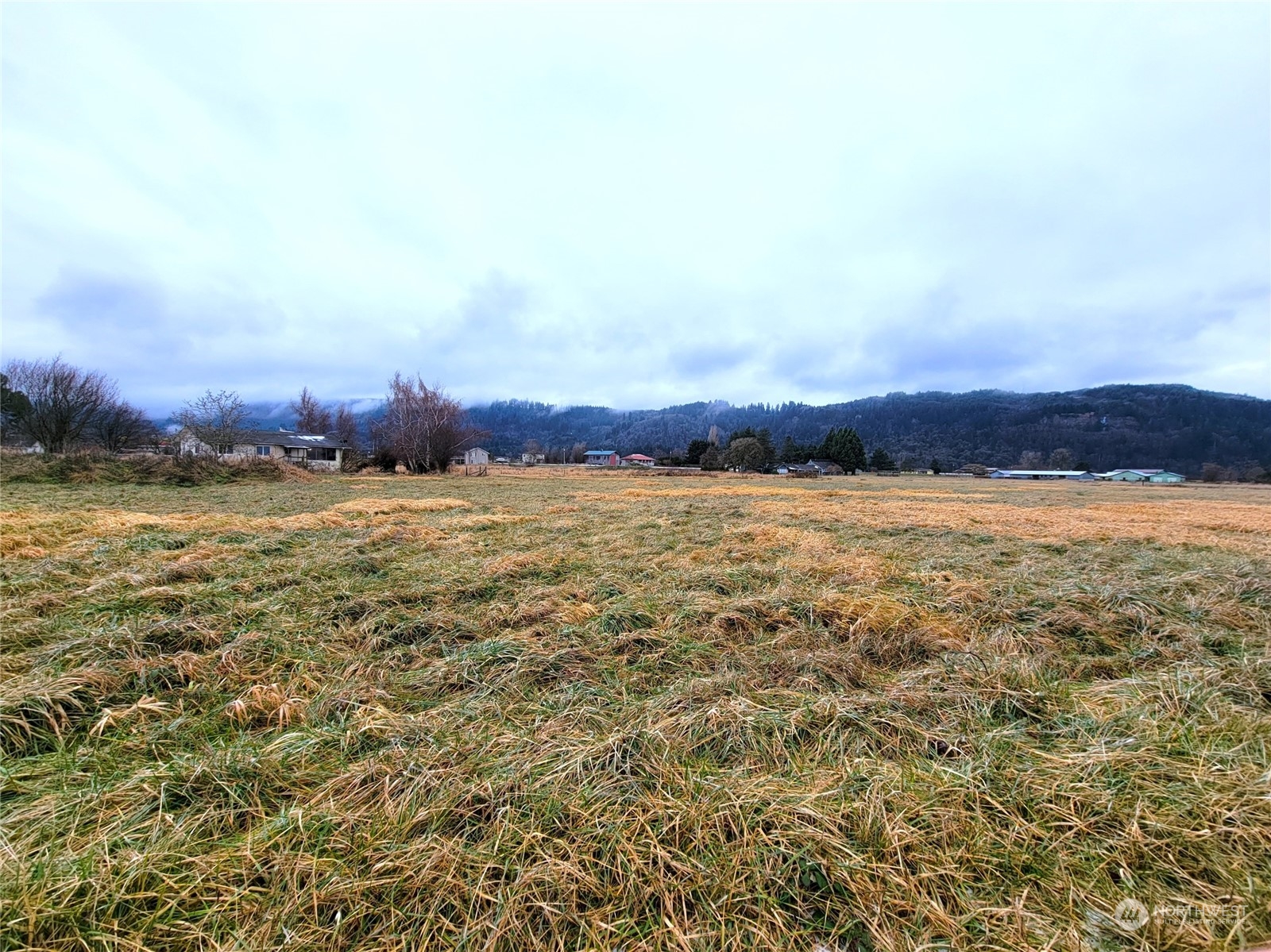 336 North Welcome Slough Road Cathlamet, WA 98612 - Photo 19 of 24 Gallery Image 19