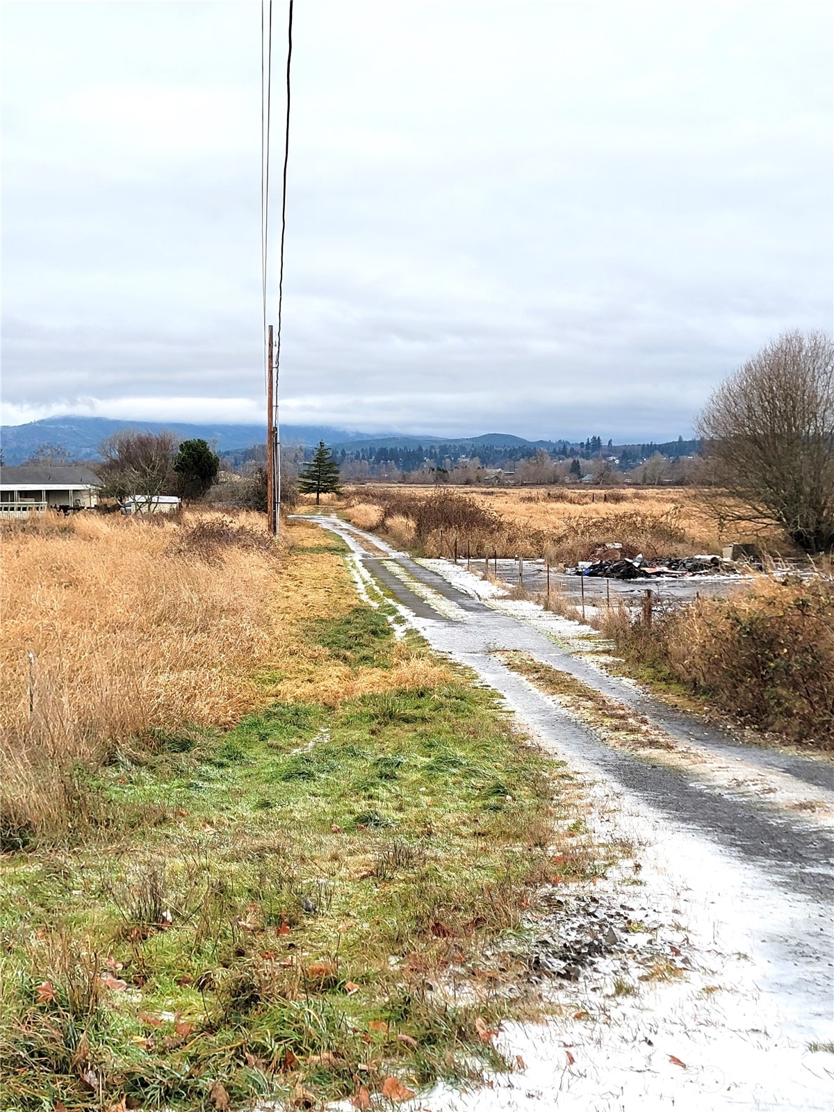 336 North Welcome Slough Road Cathlamet, WA 98612 - Photo 4 of 24 Gallery Image 4
