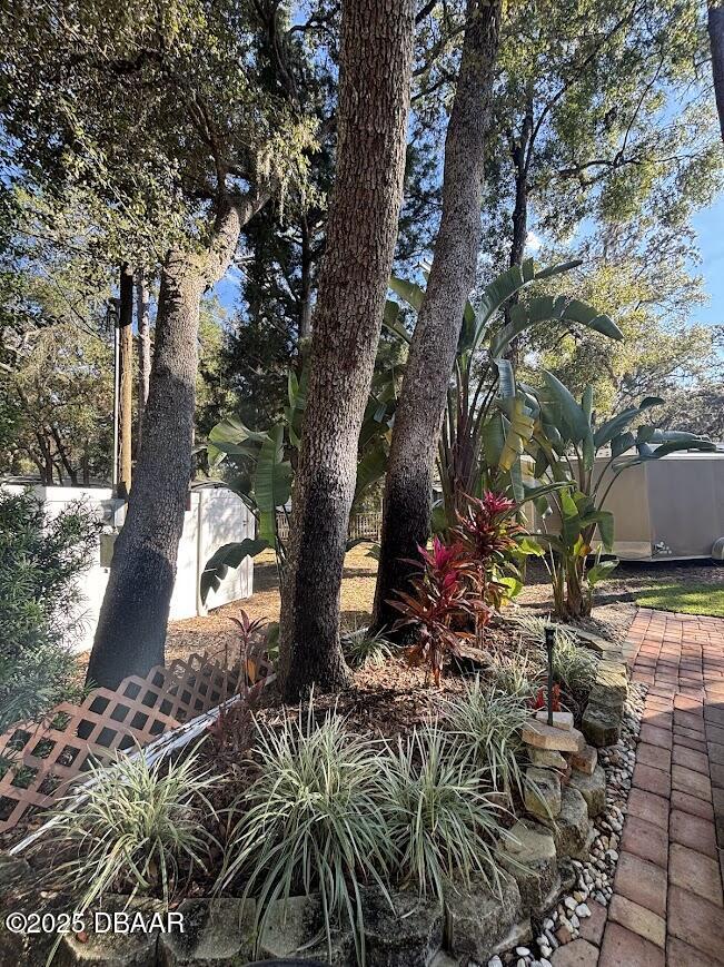 14065 Northeast 253 Ct Road Salt Springs, FL 32134 - Photo 12 of 58 11