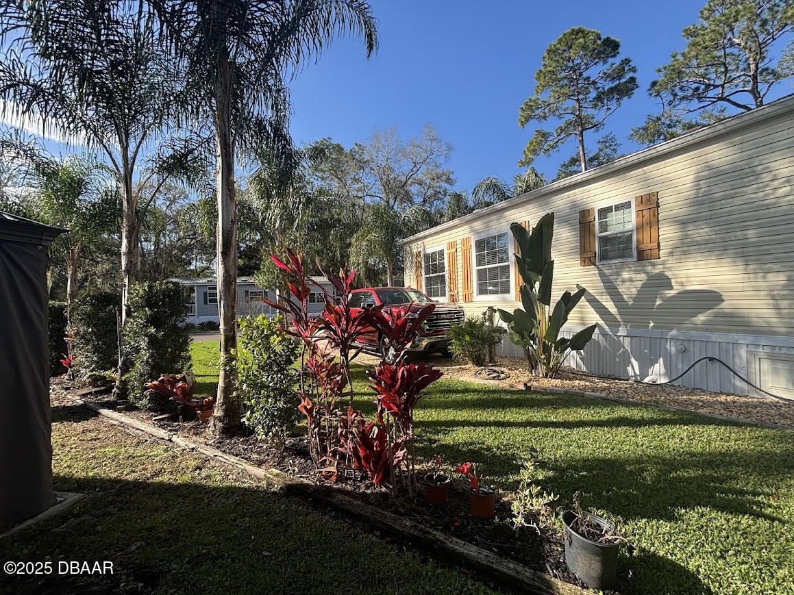 14065 Northeast 253 Ct Road Salt Springs, FL 32134 - Photo 3 of 58 15