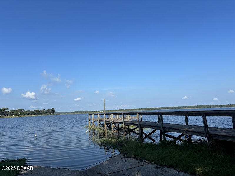 14065 Northeast 253 Ct Road Salt Springs, FL 32134 - Photo 36 of 58 4