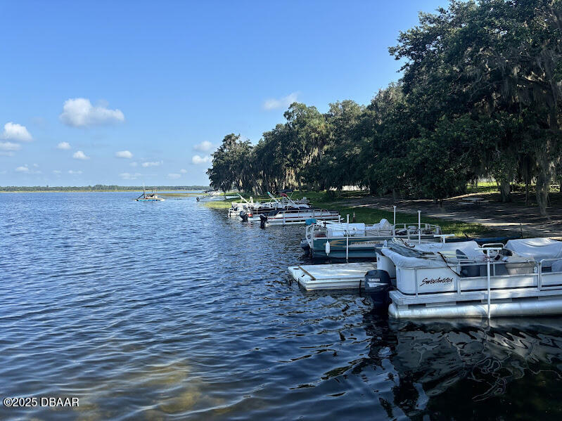 14065 Northeast 253 Ct Road Salt Springs, FL 32134 - Photo 38 of 58 6