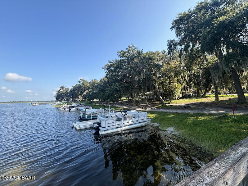 14065 Northeast 253 Ct Road Salt Springs, FL 32134 - Photo 39 of 58 7